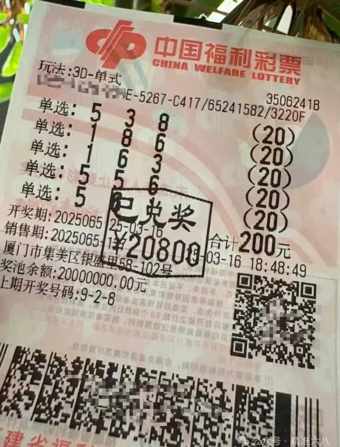 直溜溜538